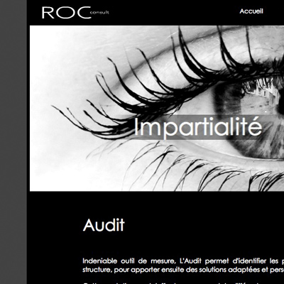 audit